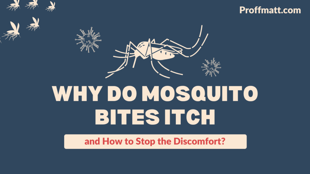 Why Do Mosquito Bites Itch and How to Stop the Discomfort?
