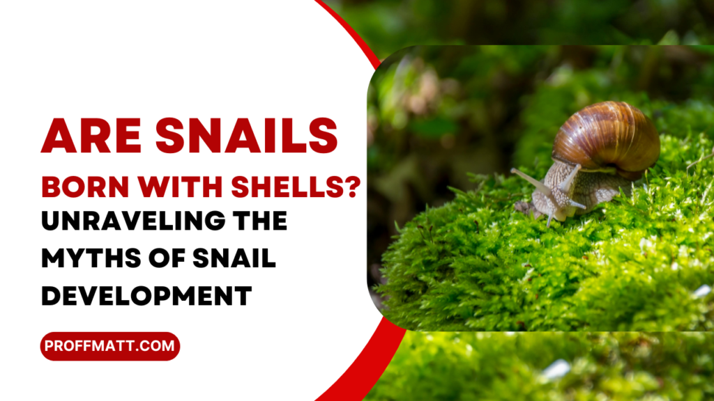 Are Snails Born With Shells? Unraveling the Myths of Snail Development