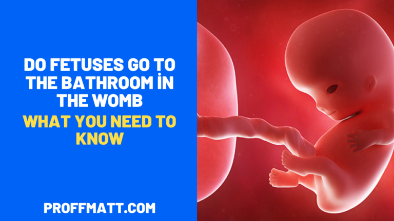 Do Fetuses Go to the Bathroom in the Womb? What You Need to Know