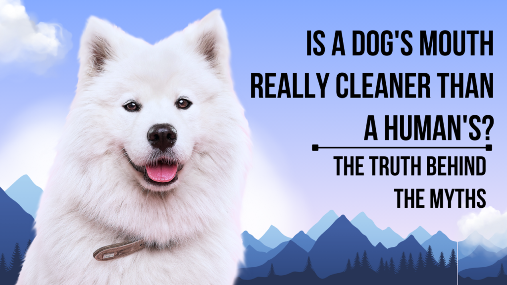 Is a Dog's Mouth Really Cleaner Than a Human's? The Truth Behind the Myths