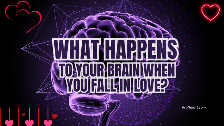 What Happens to Your Brain When You Fall in Love?