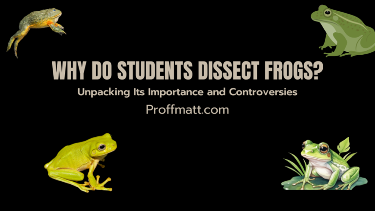 Why Do Students Dissect Frogs? Unpacking Its Importance and Controversies