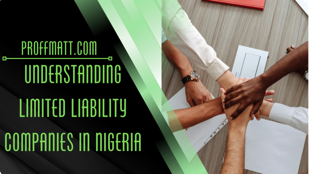 Understanding Limited Liability Companies in Nigeria
