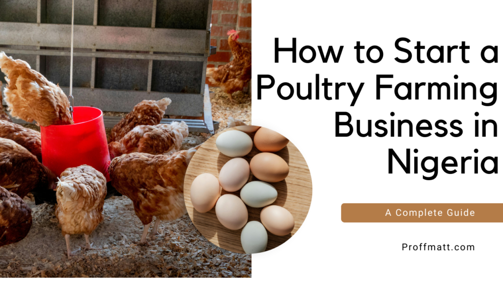 How to Start a Poultry Farming Business in Nigeria: A Complete Guide