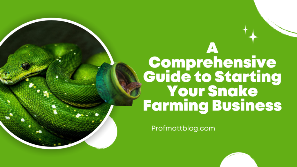 A Comprehensive Guide to Starting Your Snake Farming Business