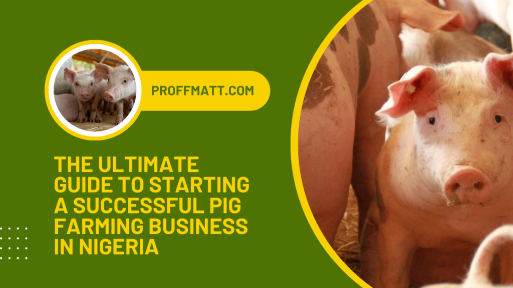 The Ultimate Guide to Starting a Successful Pig Farming Business in Nigeria