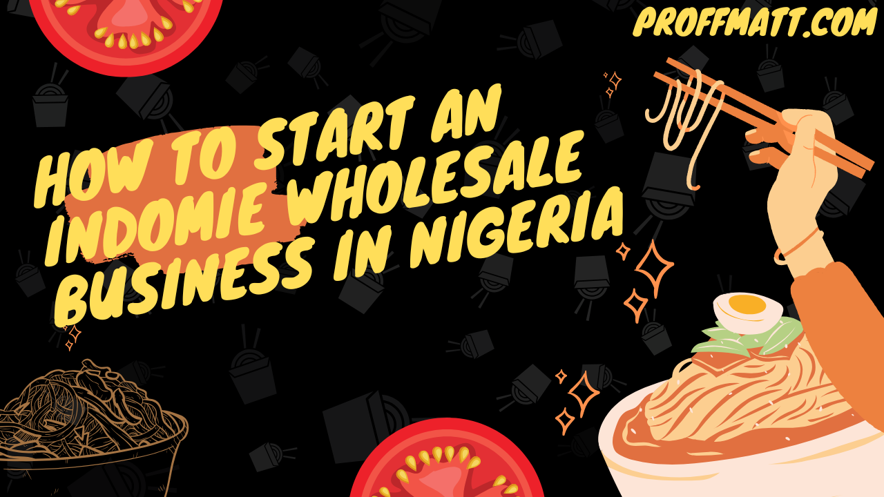 How to Start an Indomie Wholesale Business in Nigeria: A Simple Guide