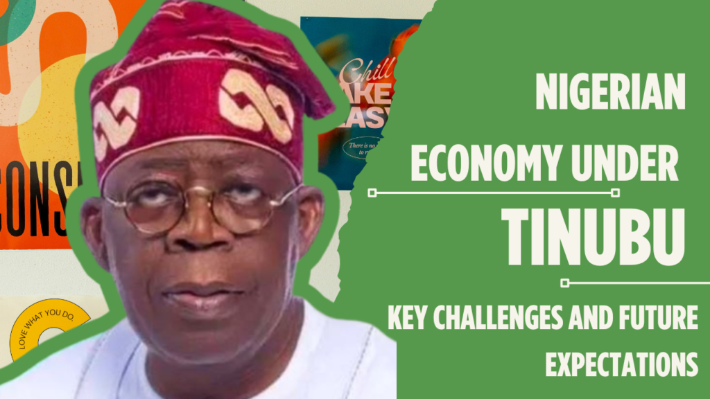 Nigerian Economy Under Tinubu: Key Challenges and Future Expectations 11 Nigerian Economy Under Tinubu: Key Challenges and Future Expectations